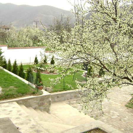 Pension Casa Natura Baile Herculane Exterior photo