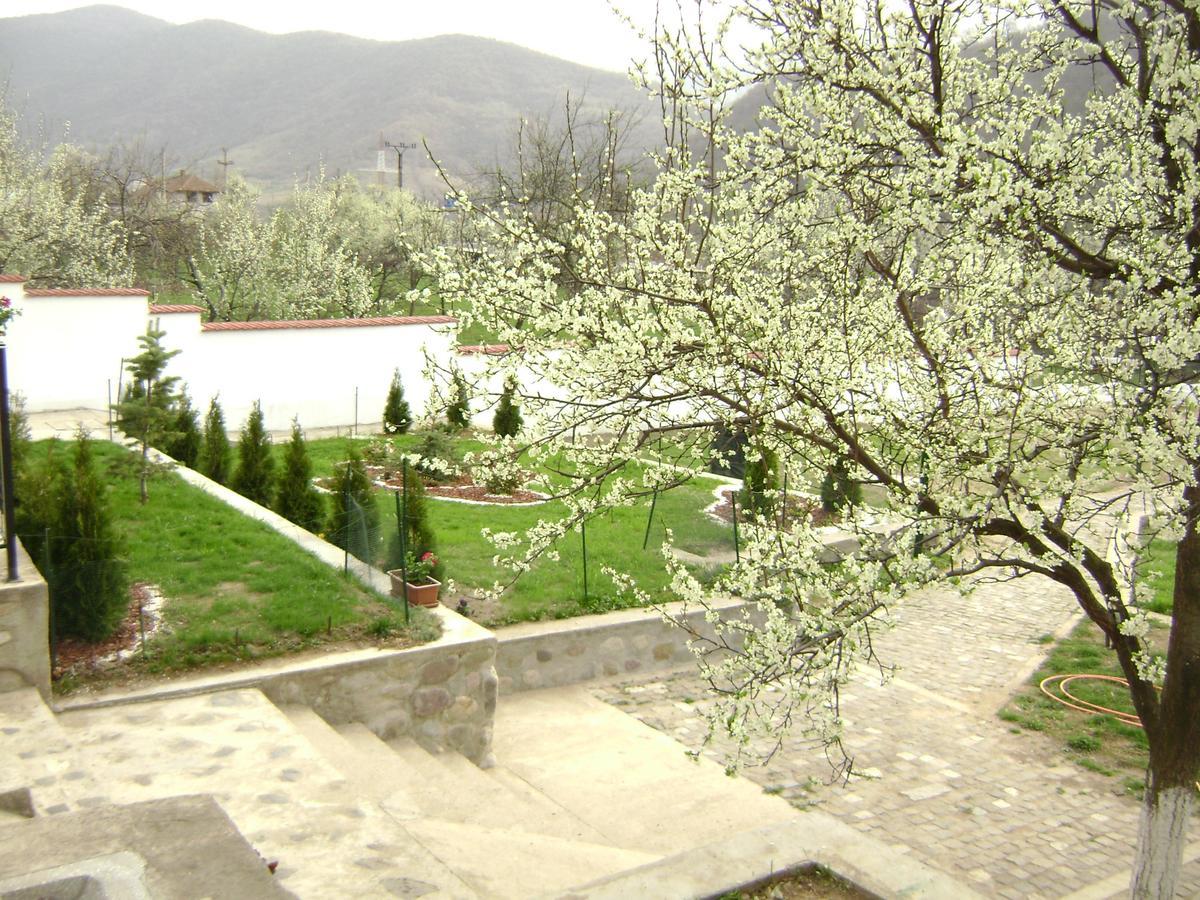 Pension Casa Natura Baile Herculane Exterior photo