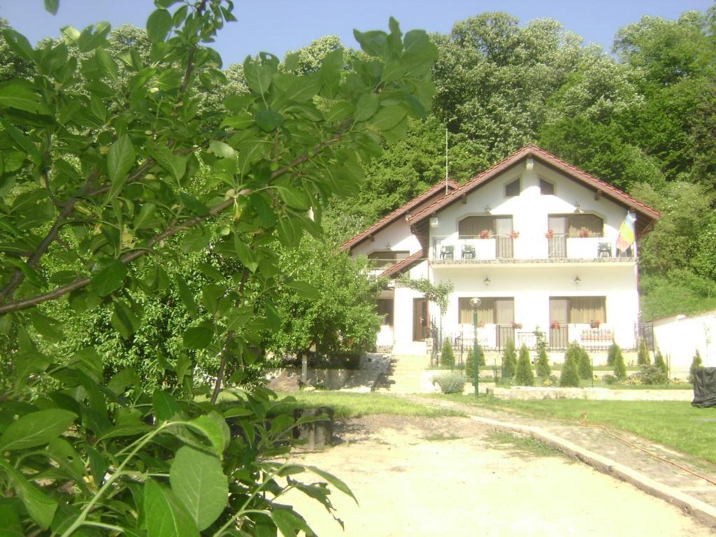 Pension Casa Natura Baile Herculane Exterior photo