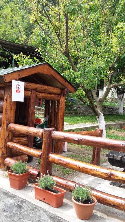 Pension Casa Natura Baile Herculane Exterior photo