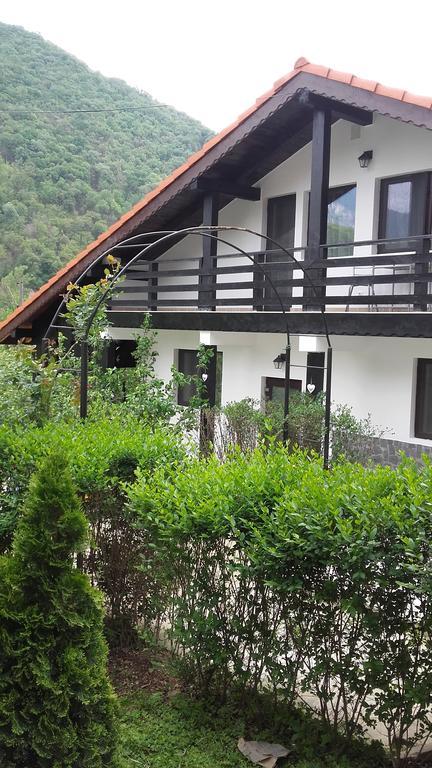Pension Casa Natura Baile Herculane Exterior photo