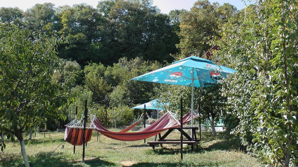 Pension Casa Natura Baile Herculane Exterior photo